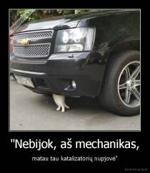 "Nebijok, aš mechanikas, - matau tau katalizatorių nupjovė"
