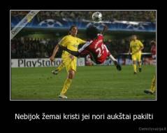 Nebijok žemai kristi jei nori aukštai pakilti - 