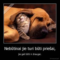 Nebūtinai jie turi būti priešai, - jie gali būti ir draugai.