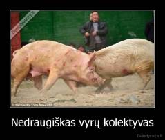 Nedraugiškas vyrų kolektyvas - 