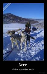 Neee  - chebra aš ten tikrai neisiu!