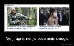 Nei ji tigrė, nei jis požeminis smūgis - 