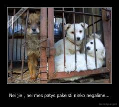 Nei jie , nei mes patys pakeisti nieko negalime... - 