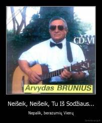 Neišeik, Neišeik, Tu Iš Sodžiaus... - Nepalik, berazumių Vienų