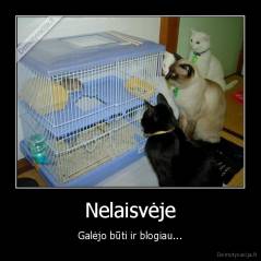 Nelaisvėje - Galėjo būti ir blogiau...