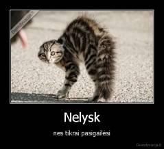 Nelysk - nes tikrai pasigailėsi