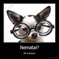 Nematai? - Aš mokausi