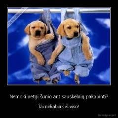 Nemoki netgi šunio ant sauskelnių pakabinti? - Tai nekabink iš viso!