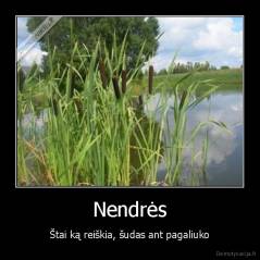 Nendrės - Štai ką reiškia, šudas ant pagaliuko