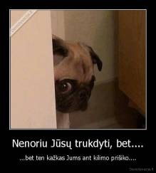 Nenoriu Jūsų trukdyti, bet.... - ...bet ten kažkas Jums ant kilimo prišiko....