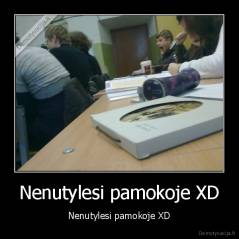 Nenutylesi pamokoje XD - Nenutylesi pamokoje XD