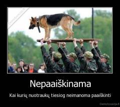 Nepaaiškinama - Kai kurių nuotraukų tiesiog neimanoma paaiškinti