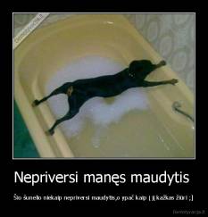 Nepriversi manęs maudytis  - Šio šunelio niekaip nepriversi maudytis,o ypač kaip į jį kažkas žiūri ;]