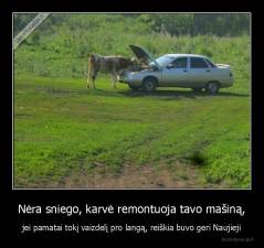 Nėra sniego, karvė remontuoja tavo mašiną, - jei pamatai tokį vaizdelį pro langą, reiškia buvo geri Naujieji