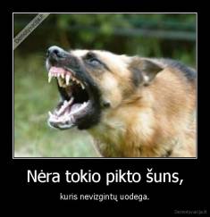 Nėra tokio pikto šuns, - kuris nevizgintų uodega.