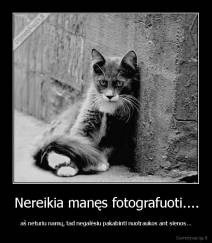 Nereikia manęs fotografuoti.... - aš neturiu namų, tad negalėsiu pakabinti nuotraukos ant sienos...