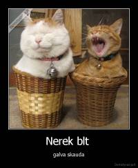 Nerek blt  - galva skauda