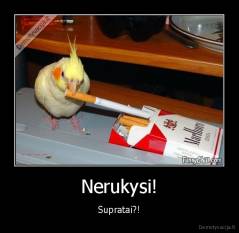 Nerukysi! - Supratai?!