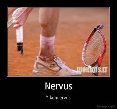Nervus - Y koncervus