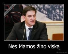Nes Mamos žino viską - 