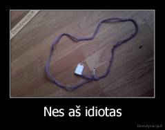 Nes aš idiotas - 
