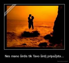 Nes mano širdis tik Tavo širdį pripažįsta... - 