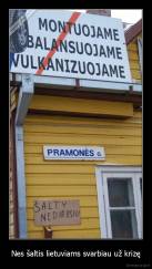 Nes šaltis lietuviams svarbiau už krizę - 