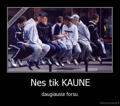 Nes tik KAUNE - daugiausia forsu.
