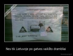 Nes tik Lietuvoje po gatves vaikšto drambliai  - 