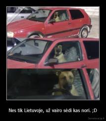 Nes tik Lietuvoje, už vairo sėdi kas nori. ;D - 