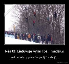 Nes tik Lietuvoje vyrai lipa į medžius - kad pamatytų pravažiuojantį "modelį"...