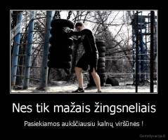 Nes tik mažais žingsneliais - Pasiekiamos aukščiausiu kalnų viršūnės !
