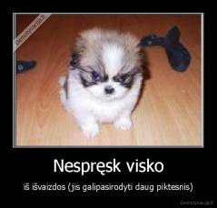 Nespręsk visko - iš išvaizdos (jis galipasirodyti daug piktesnis)