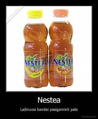 Nestea - Lažinuosi bandei pasigaminti pats