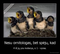Nesu ornitologas, bet spėju, kad - 4 iš jų yra moterys, o 1 - vyras.