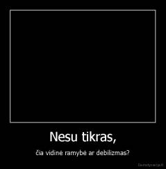 Nesu tikras, - čia vidinė ramybė ar debilizmas?