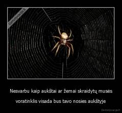 Nesvarbu kaip aukštai ar žemai skraidytų musės - voratinklis visada bus tavo nosies aukštyje