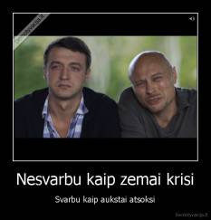 Nesvarbu kaip zemai krisi - Svarbu kaip aukstai atsoksi