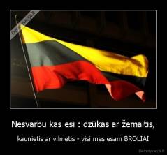 Nesvarbu kas esi : dzūkas ar žemaitis, - kaunietis ar vilnietis - visi mes esam BROLIAI