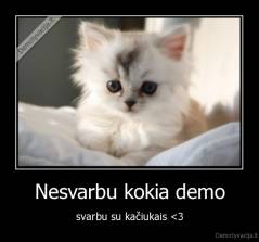 Nesvarbu kokia demo - svarbu su kačiukais 