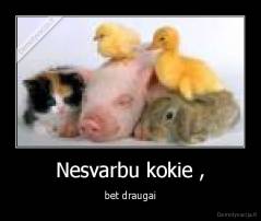 Nesvarbu kokie , - bet draugai