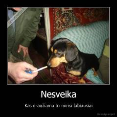 Nesveika - Kas draužiama to norisi labiausiai