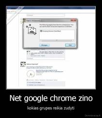 Net google chrome zino - kokias grupes reikia zudyti