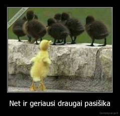 Net ir geriausi draugai pasišika - 
