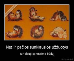 Net ir pačios sunkiausios užduotys - turi daug sprendimo būdų