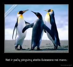 Net ir pačių pingvinų ateitis šviesesne nei mano. - 