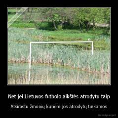 Net jei Lietuvos futbolo aikštės atrodytu taip - Atsirastu žmonių kuriem jos atrodytų tinkamos