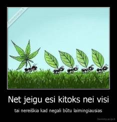 Net jeigu esi kitoks nei visi - tai nereiškia kad negali būtu laimingiausias