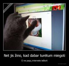 Net jis žino, kad dabar turėtum miegoti - O ne papų internete ieškoti