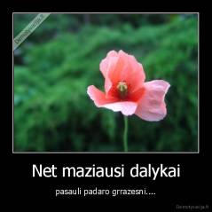 Net maziausi dalykai - pasauli padaro grrazesni....